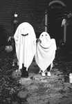 You may identify with that line from the song in the Ghostbusters movie, “I’m afraid of no ghost”. The movie itself portrayed ghosts as really not that spooky …