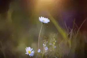 Vulnerability can be scary. It might feel shameful to reveal aspects of ourselves, and often there’s fear of rejection from others if we stay true to ourselves.