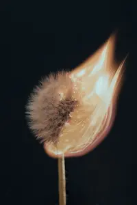 I was taught that the highest spiritual goal is not to become reliant on guides, but to become aligned with our highest truth and be guided by that.