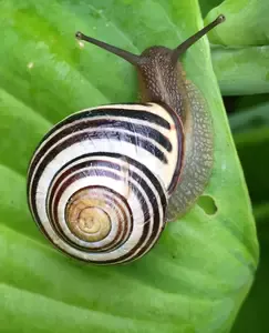 One issue when it comes to receiving intuitive answers is timing. Even with the strongest intuitive ability in the world, if it’s not the right time to know ...